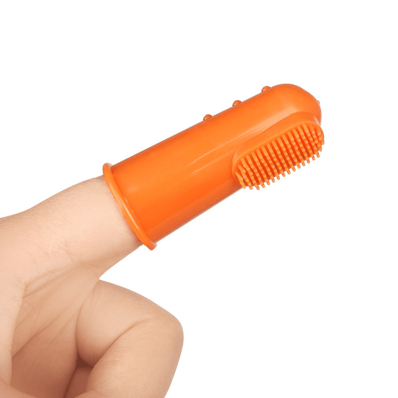 Dentifrice pour Chat