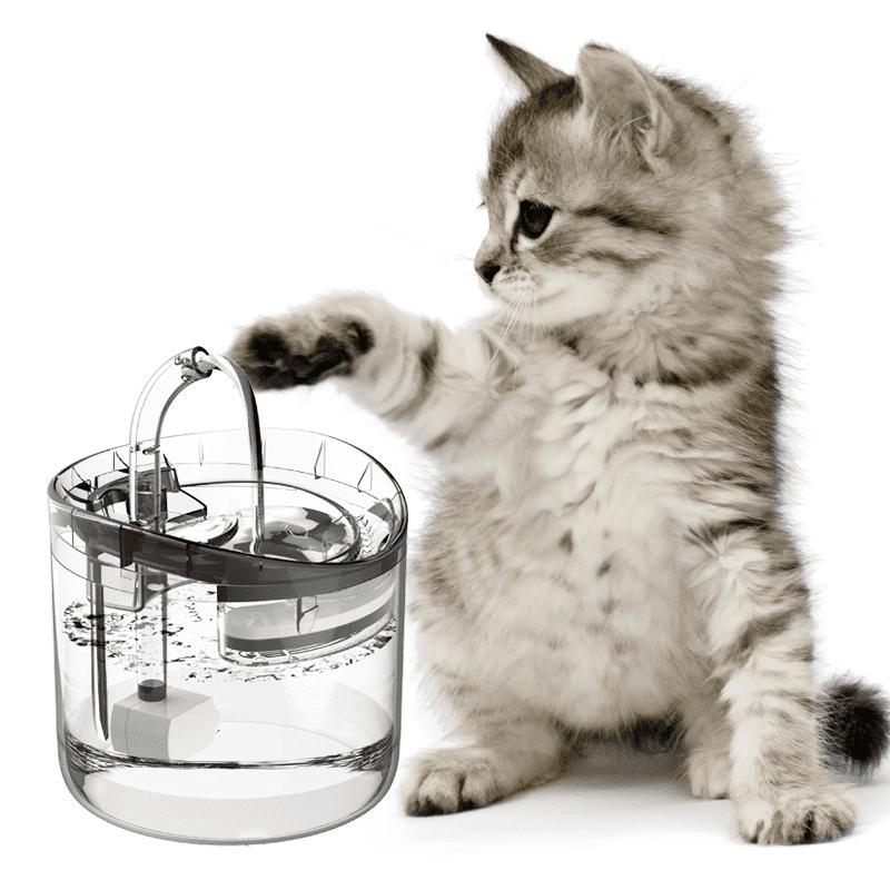 fontaine-a-eau-automatique