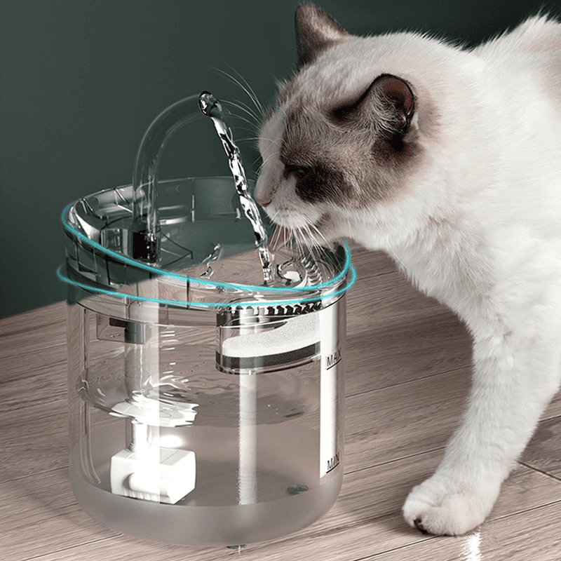 fontaine-a-eau-automatique