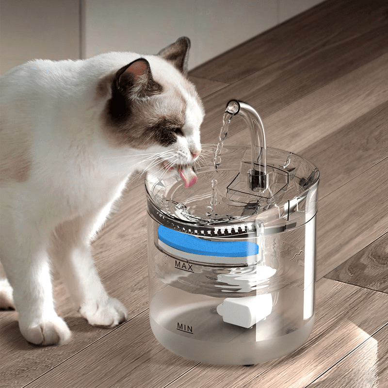 fontaine-a-eau-automatique