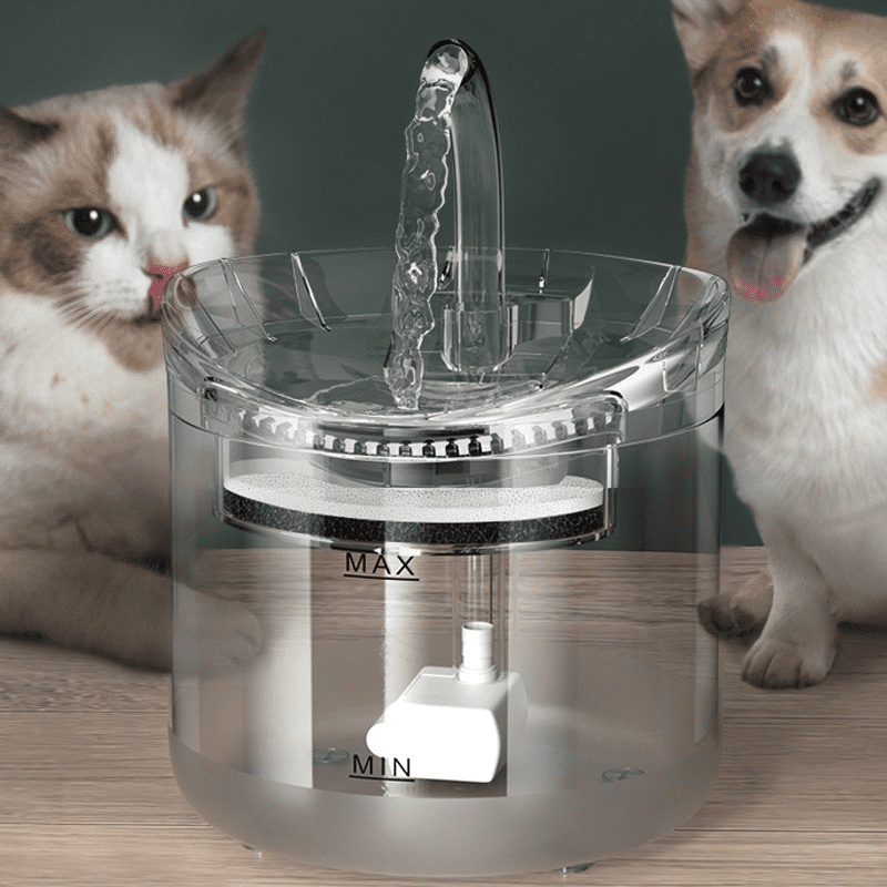 fontaine-a-eau-automatique