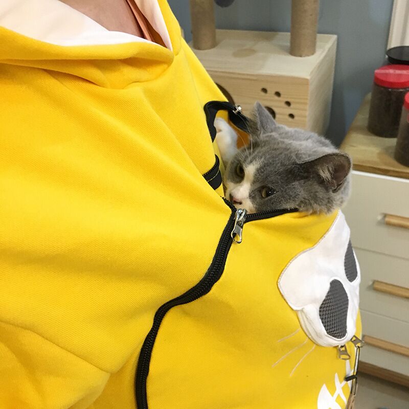 sweat porte chat