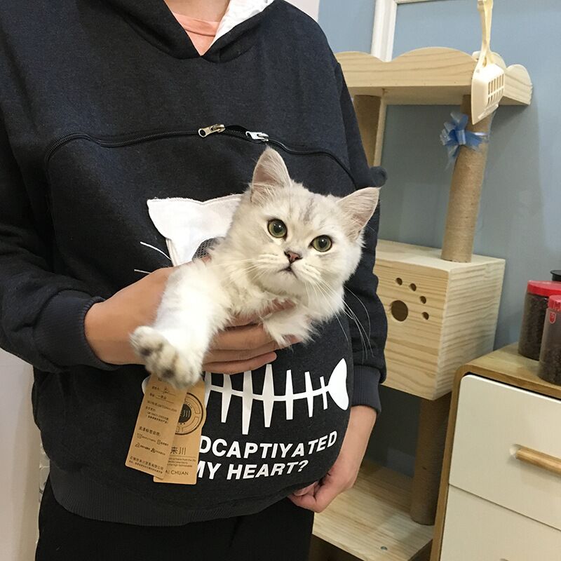 sweat porte chat