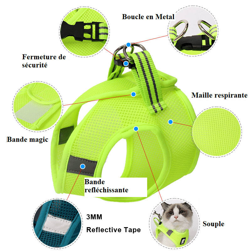 Harnais anti-évasion